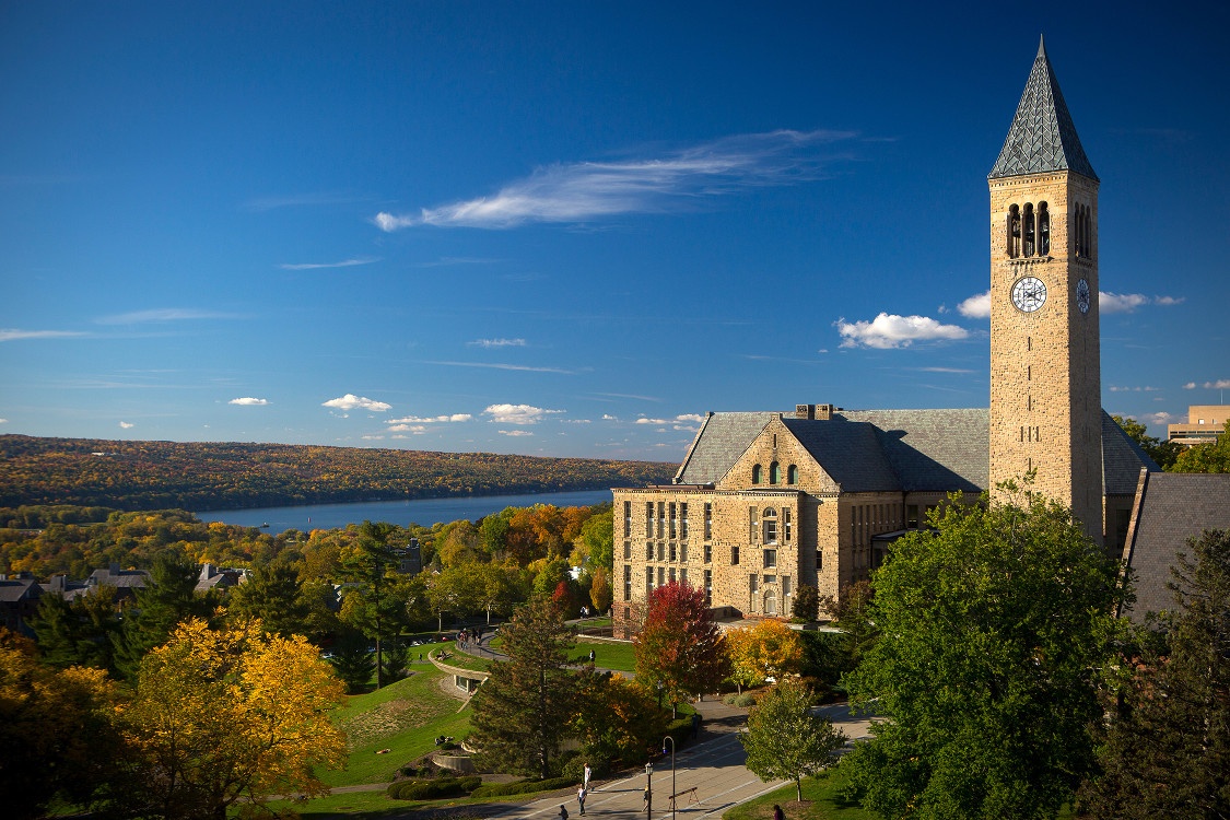 Tech Service Today First Internship Class